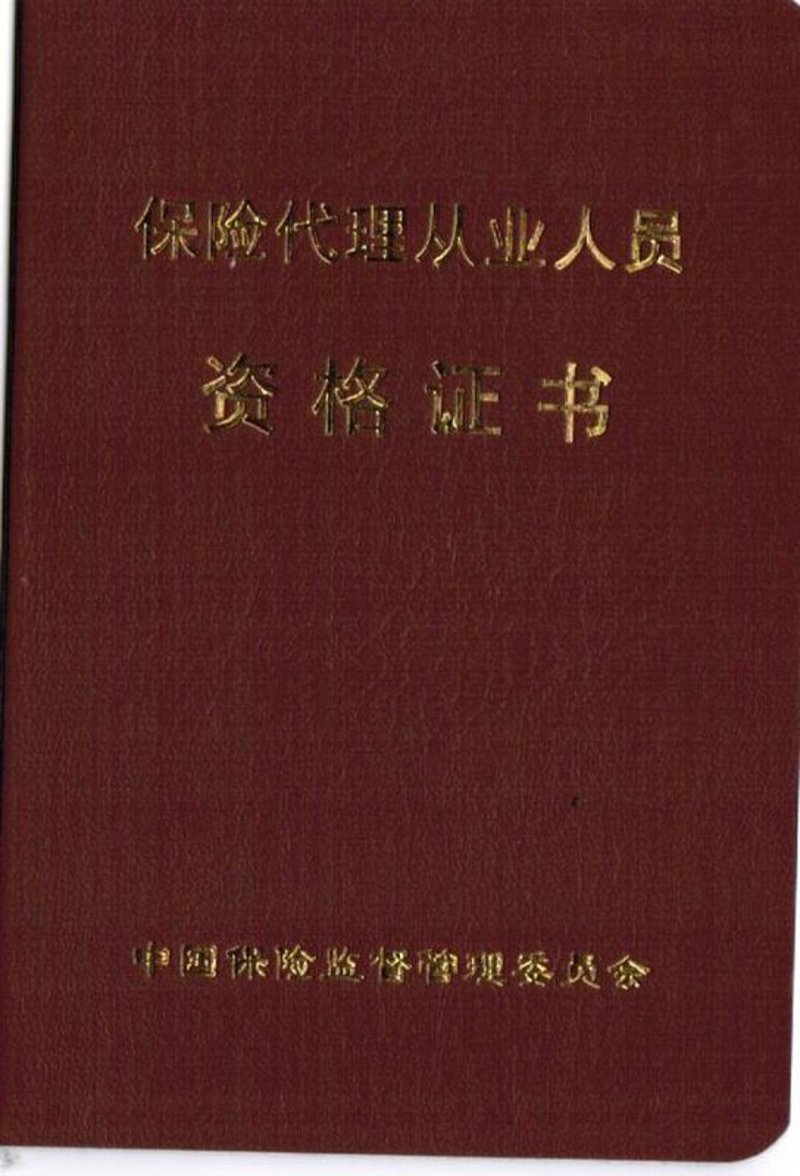 保险代理人行业的趋势与挑战